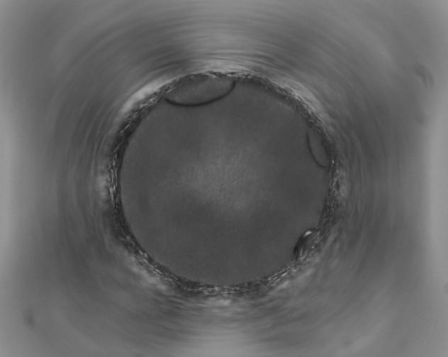 X0000112900920200909041719