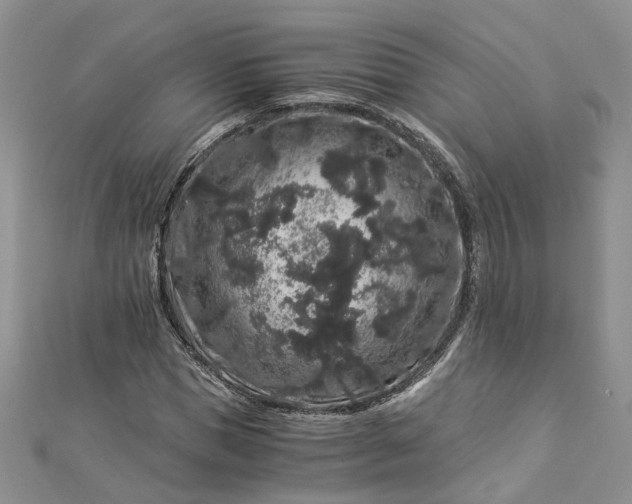 X0000112900921200909041719