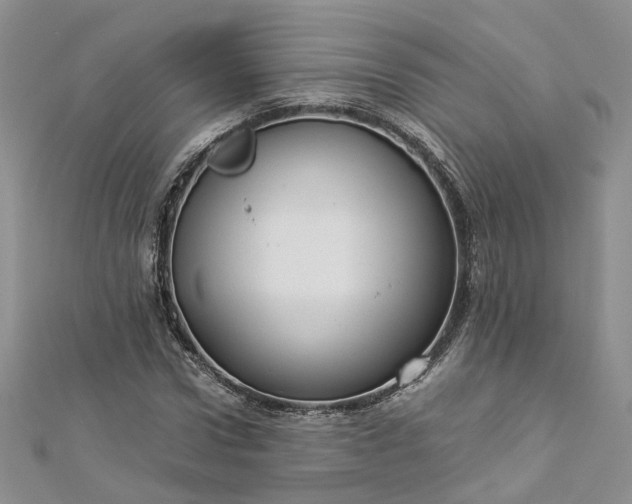 X0000112900922200909041719