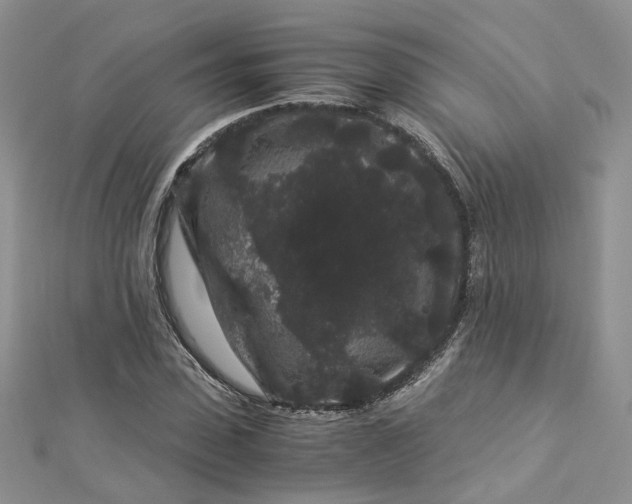 X0000112900923200909041719