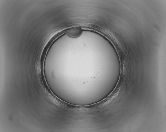 X0000112900924200909041719