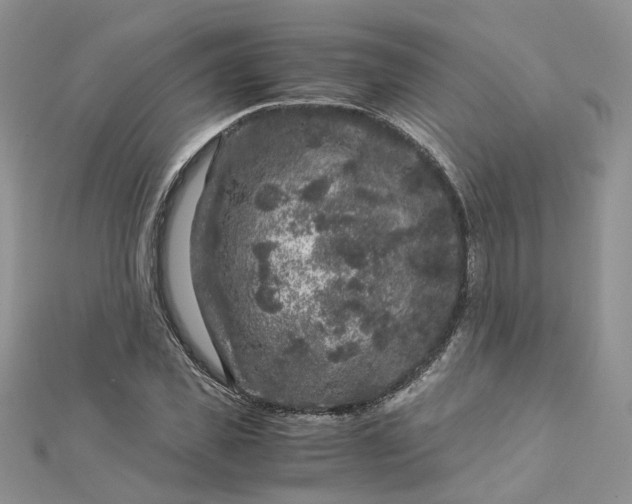 X0000112900925200909041719