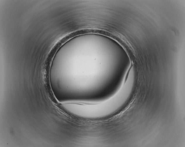 X0000112900926200909041719