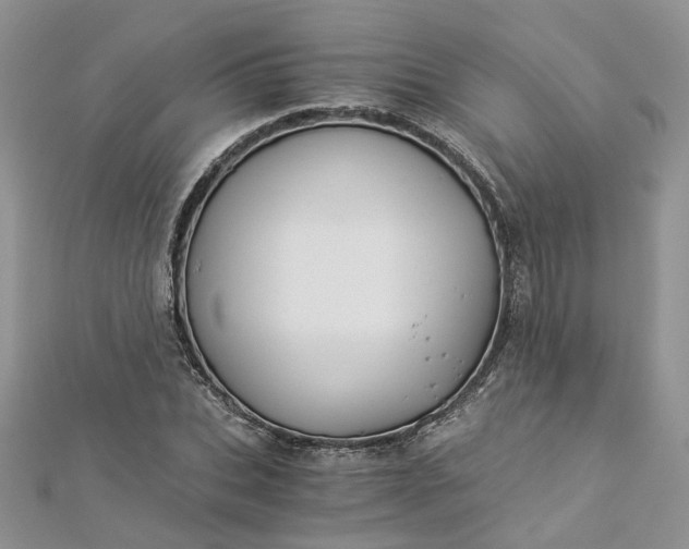 X0000112900927200909041719