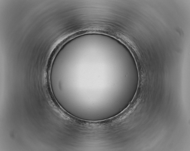 X0000112900928200909041719