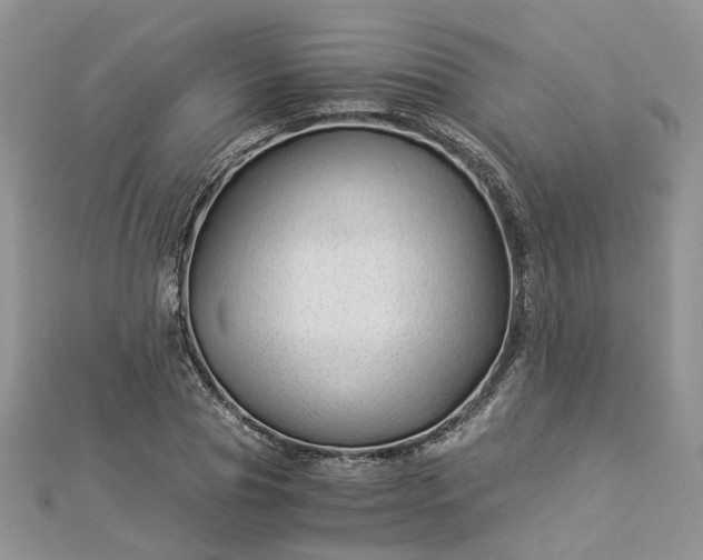 X0000112900929200909041719