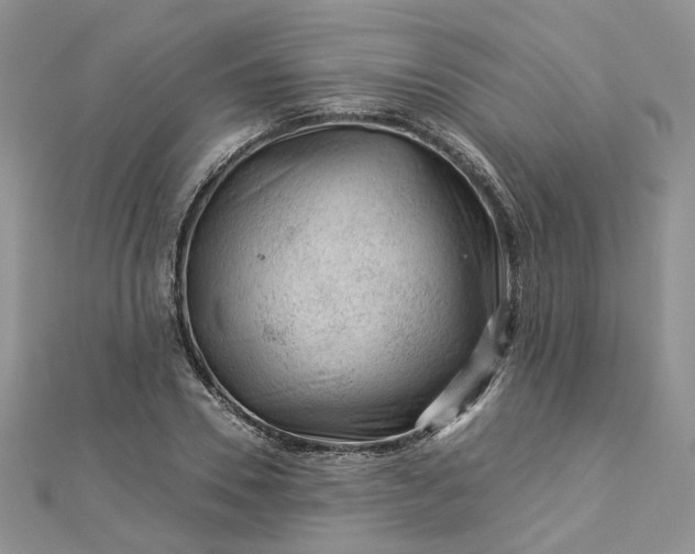 X0000112900930200909041719