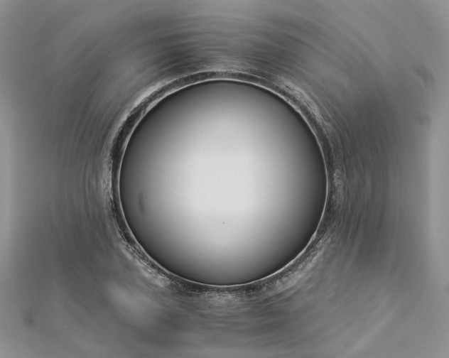 X0000112900931200909041719