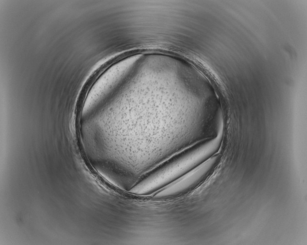 X0000112900932200909041719