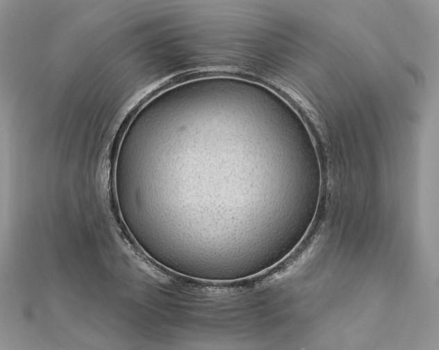 X0000112900933200909041719