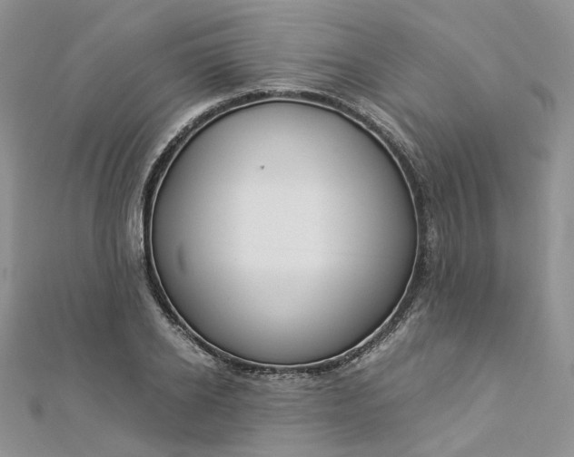 X0000112900934200909041719