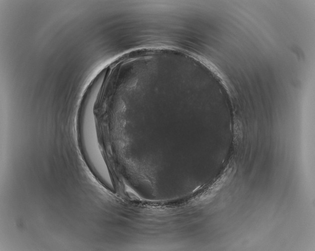 X0000112900935200909041719