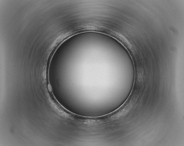 X0000112900938200909041719