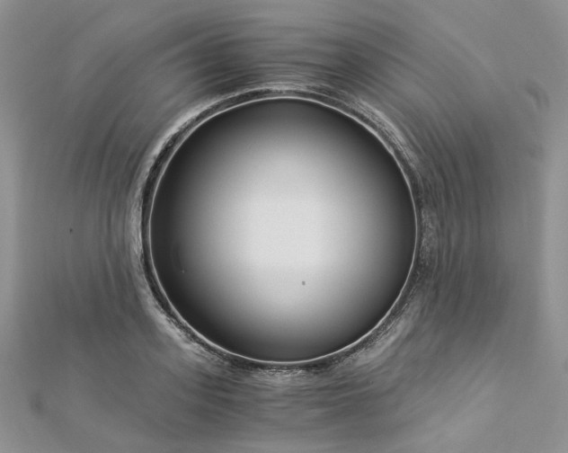 X0000112900939200909041719