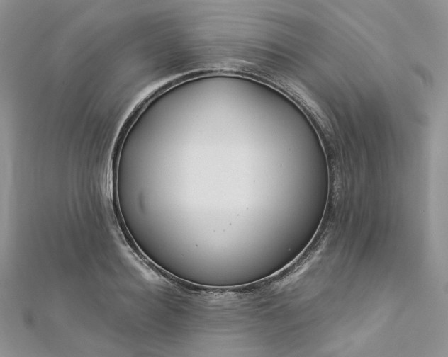 X0000112900940200909041719