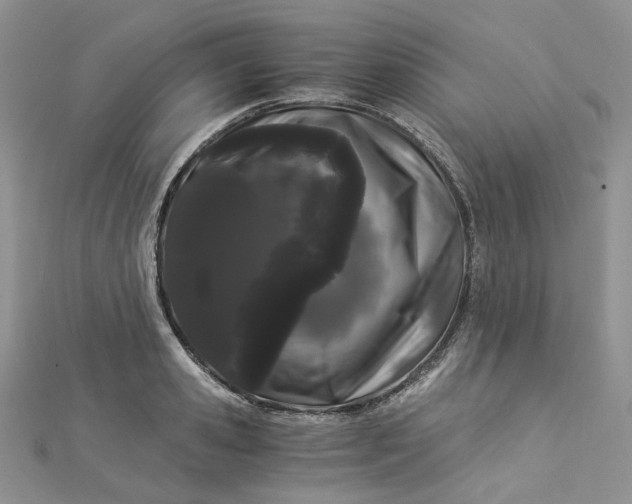 X0000112900941200909041719