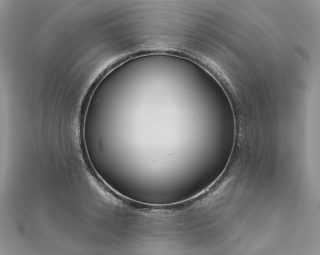 X0000112900942200909041719