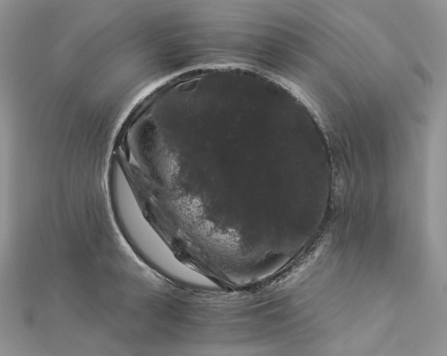 X0000112900943200909041719