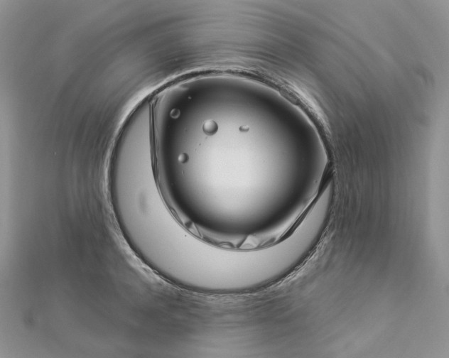 X0000112900944200909041720