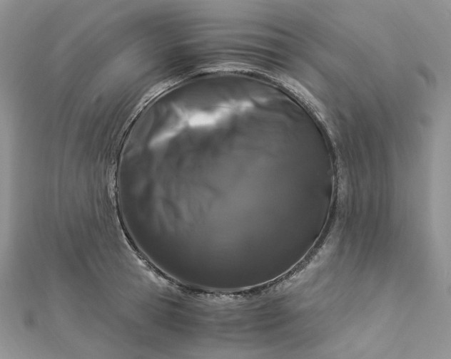 X0000112900945200909041720