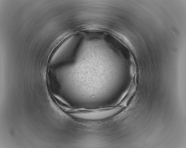 X0000112900946200909041720