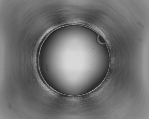 X0000112900947200909041720