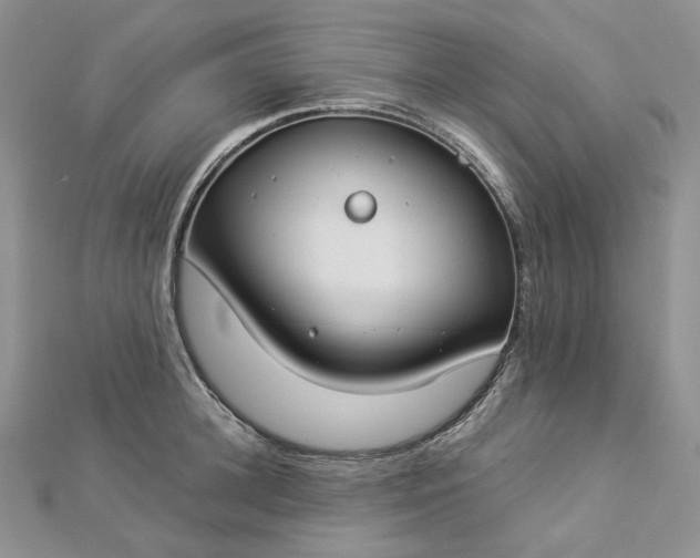 X0000112900948200909041720