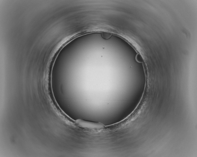 X0000112900949200909041720