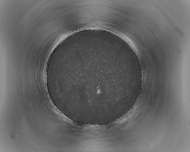 X0000112900950200909041720