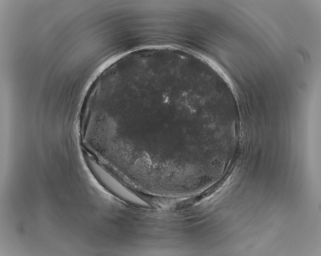 X0000112900951200909041720