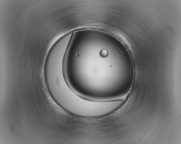 X0000112900952200909041720