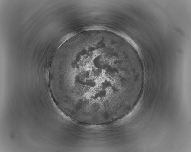 X0000112900953200909041720