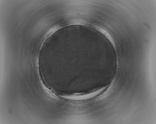 X0000112900954200909041720