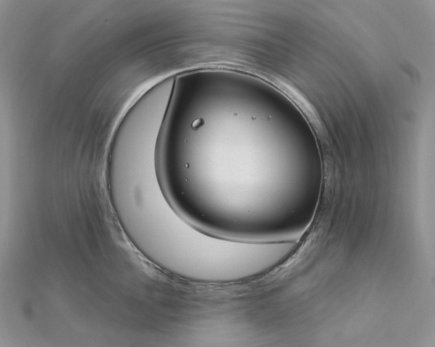 X0000112900956200909041720