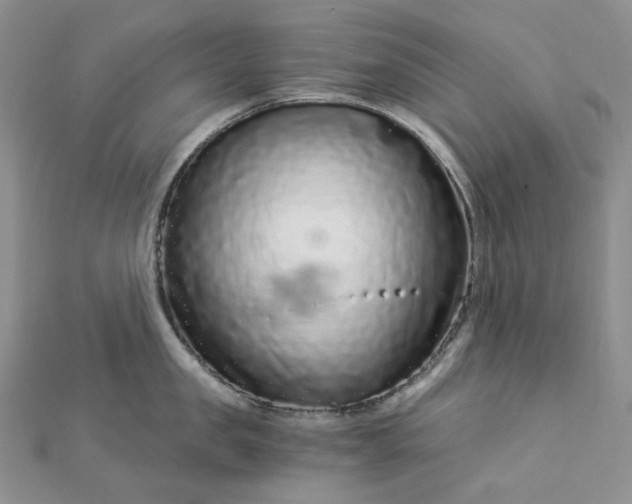 X0000112900957200909041720