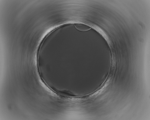 X0000112900958200909041720