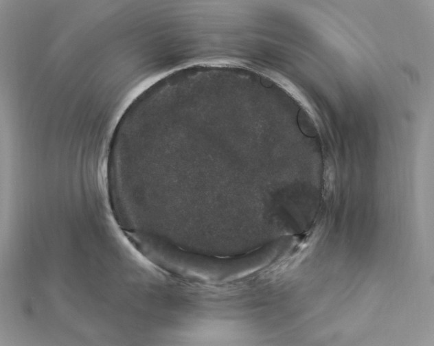 X0000112900959200909041720