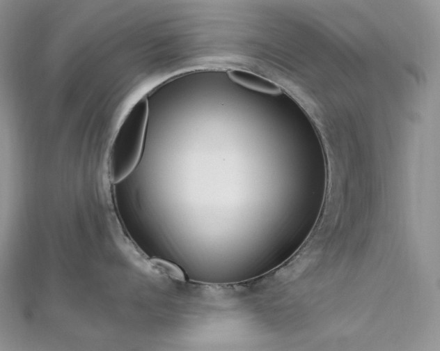 X0000112900960200909041720