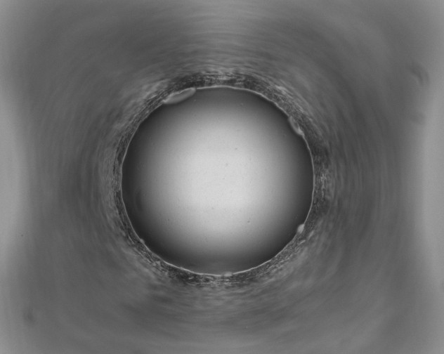 X0000112900961200909041719