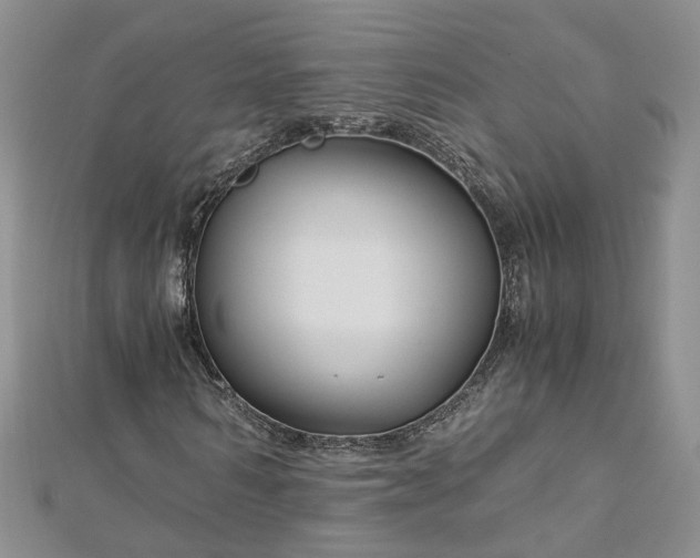 X0000112900962200909041719