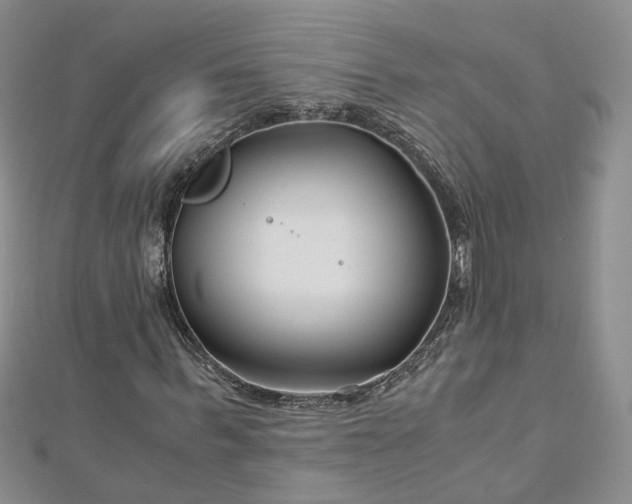 X0000112900963200909041719