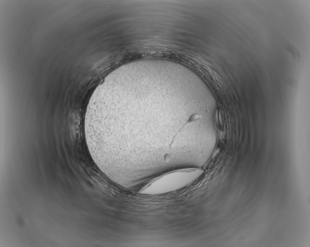 X0000112900964200909041719