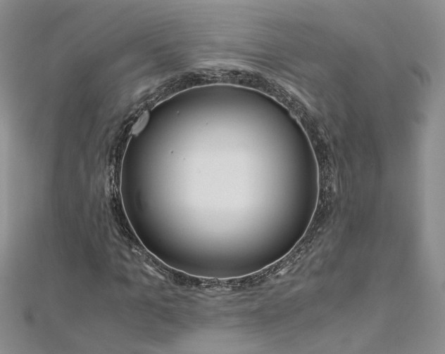 X0000112900965200909041719