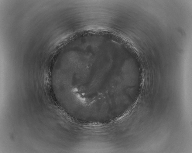 X0000112900966200909041719