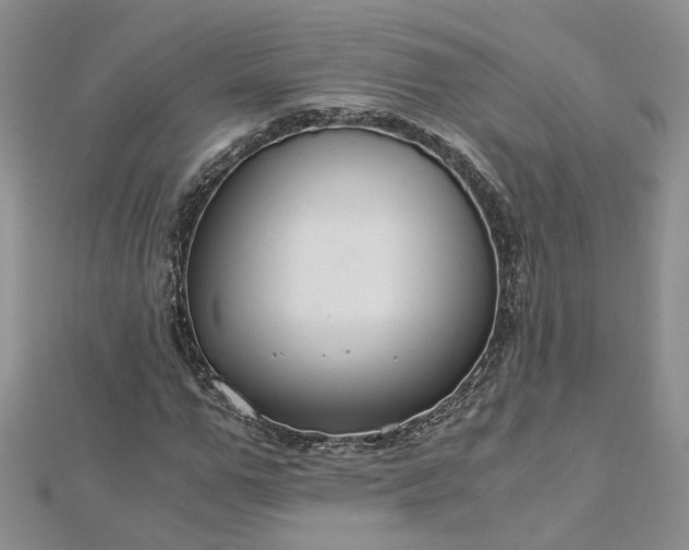 X0000112900967200909041719