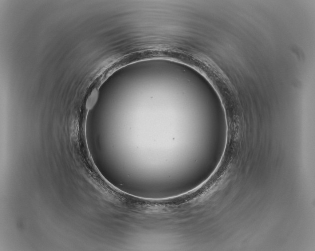 X0000112900969200909041719