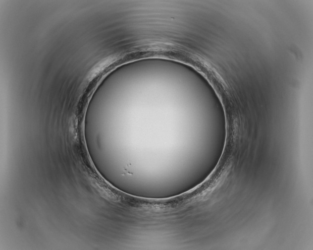 X0000112900970200909041719