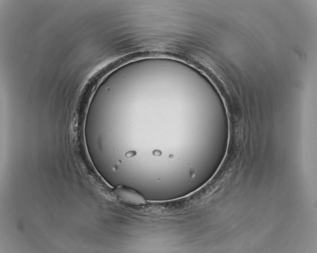 X0000112900971200909041719