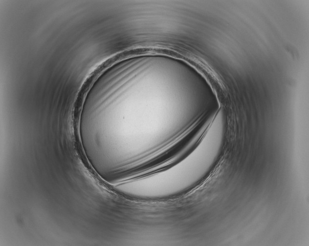 X0000112900972200909041719