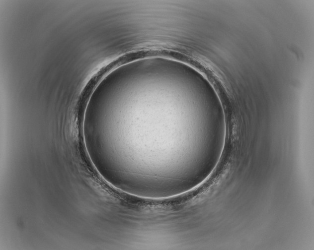 X0000112900973200909041719